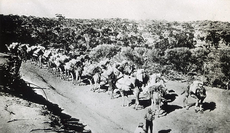 43 - (Illegible).jpg - 43 - (Illegible)